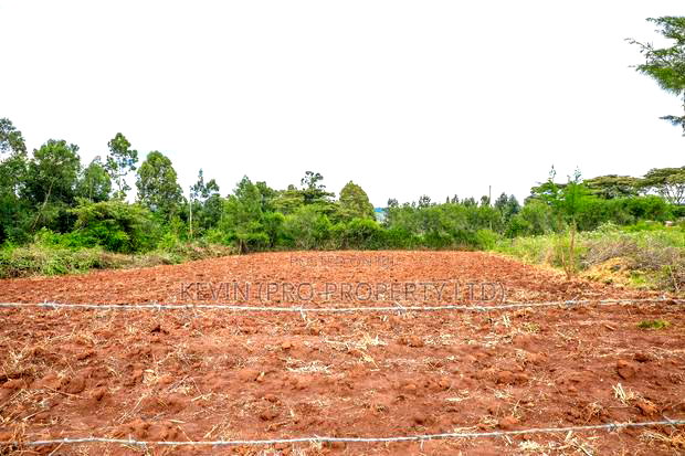 Prime 1/2-Acre Residential Plot for Sale - Kikuyu, Lusigetti