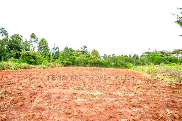 Prime 1/2-Acre Residential Plot for Sale - Kikuyu, Lusigetti