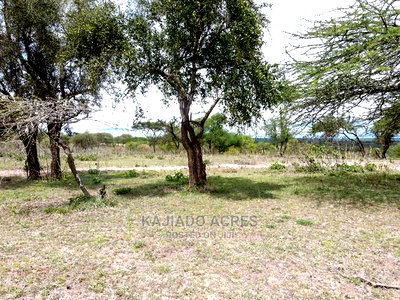 Prime 5 Acres ,Sajiloni,Touching Imaroro Tarmac - Image 10
