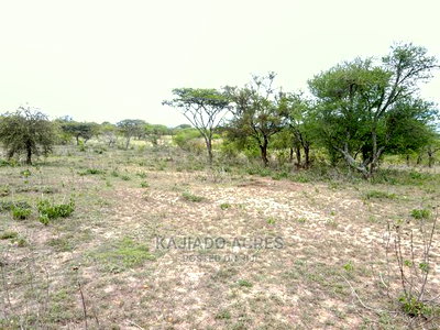 Prime 5 Acres ,Sajiloni,Touching Imaroro Tarmac - Image 4