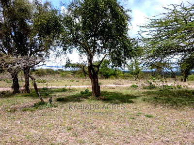 Prime 5 Acres ,Sajiloni,Touching Imaroro Tarmac - Image 7