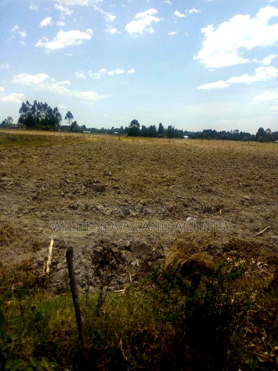 Land With House on Sale at Murungaru - Image 2