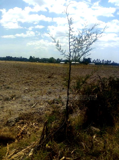 Land With House on Sale at Murungaru - Image 8