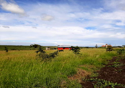 30-Acre Land with Borehole & Electricity - Isinya