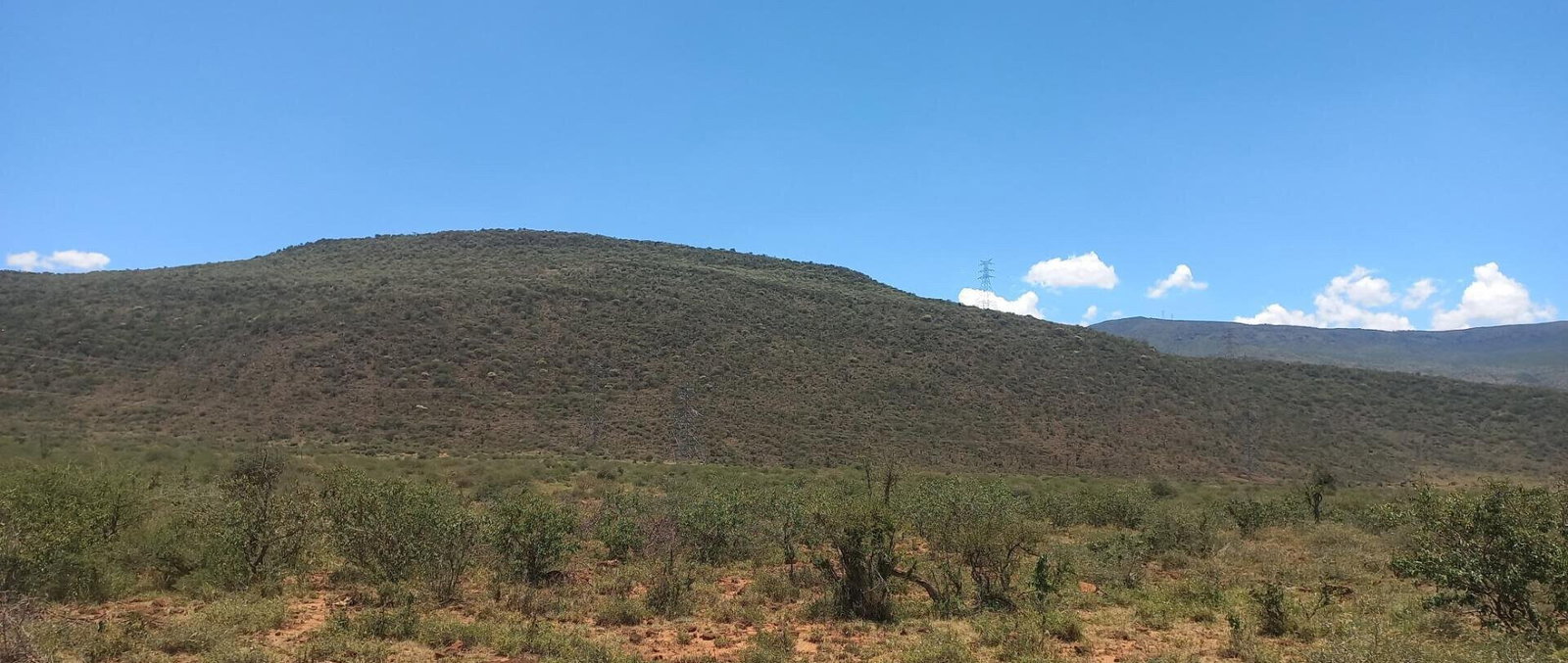 Quarter Acre Garden Plot at KSh 650K