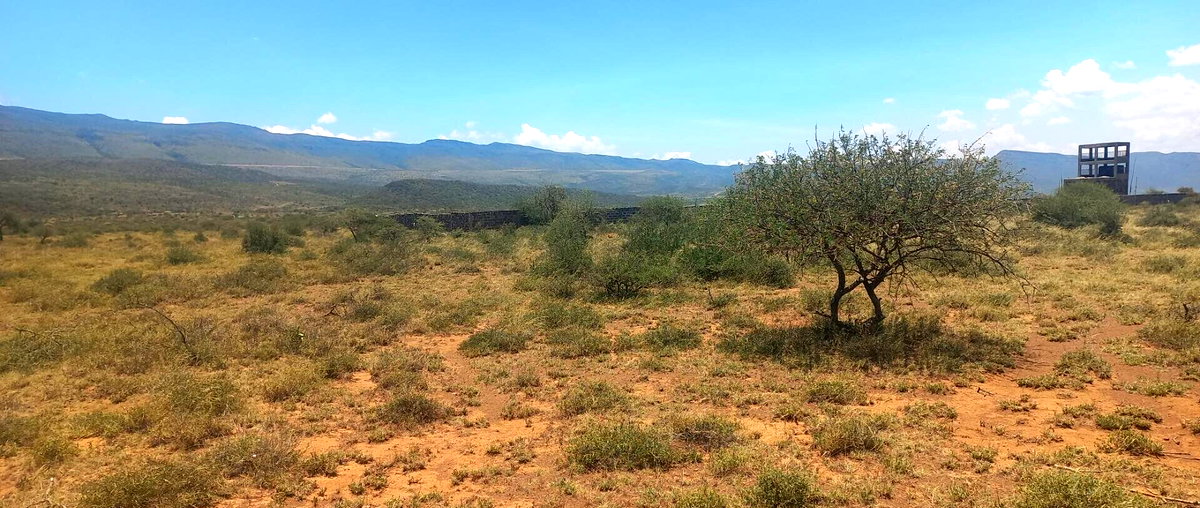 Quarter Acre Garden Plot at KSh 650K