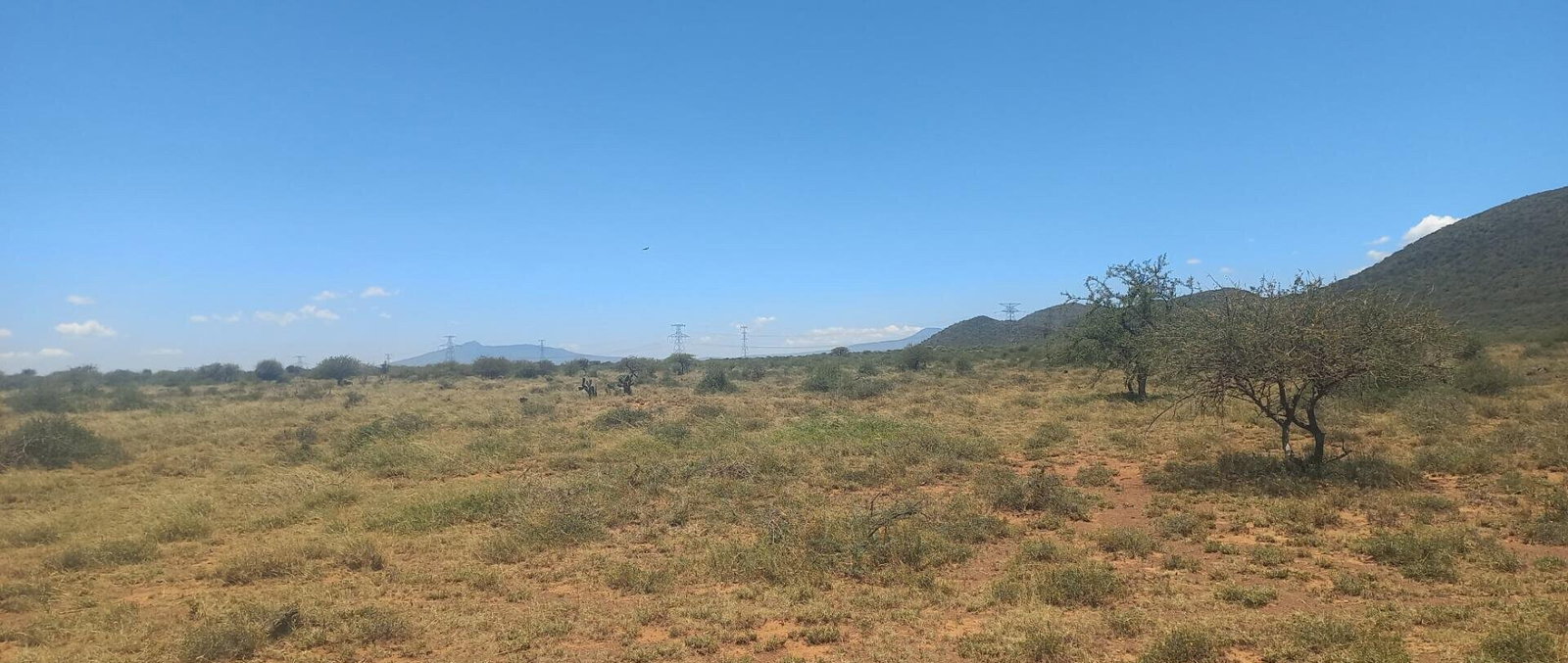 Quarter Acre Garden Plot at KSh 650K