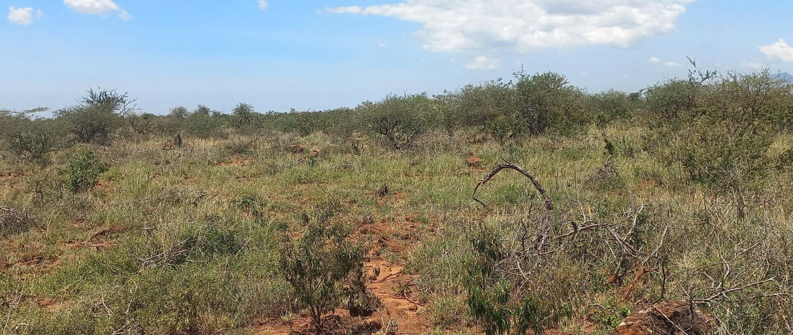 Quarter Acre Garden Plot at KSh 650K