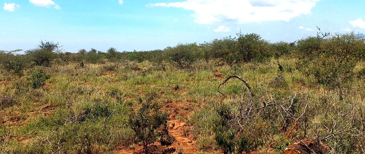 Quarter Acre Garden Plot at KSh 650K