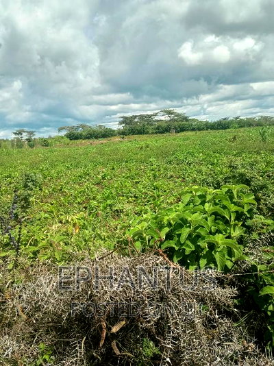 Distress Sale 1/4 Plot in Joska - Image 2