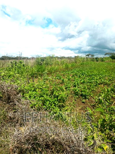 Distress Sale 1/4 Plot in Joska - Image 1