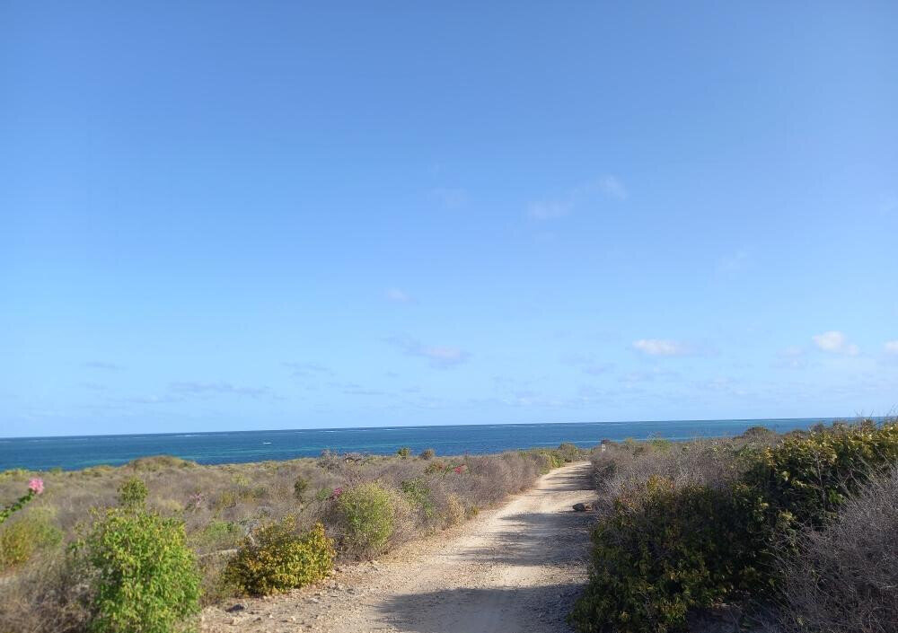 Pet Friendly 50x100 Plot at KSh 1.8M