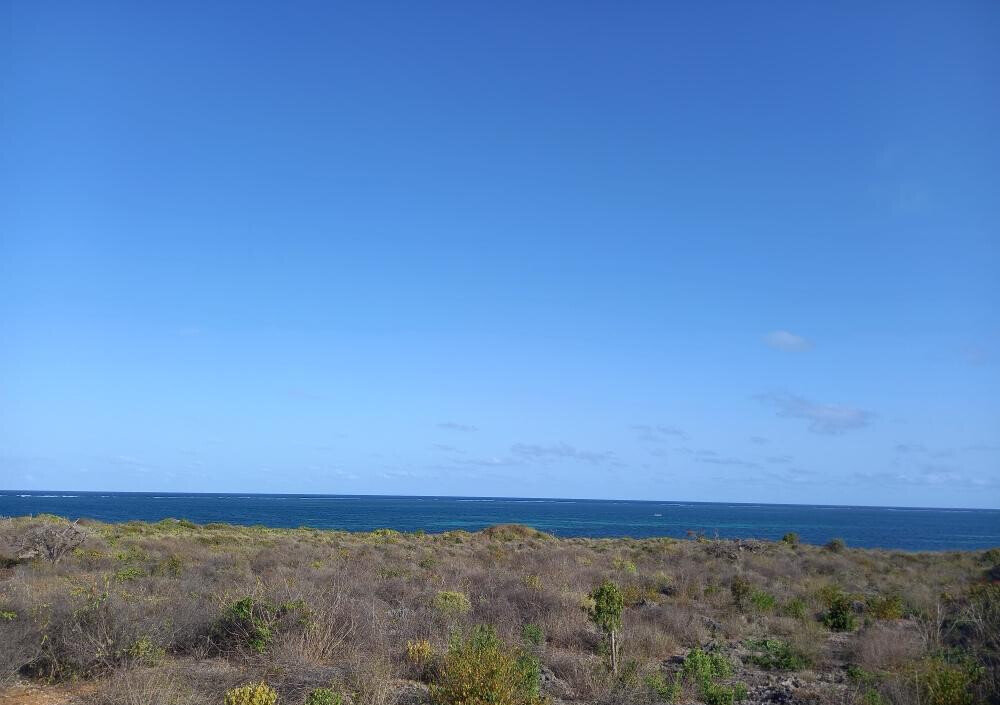 Pet Friendly 50x100 Plot at KSh 1.8M