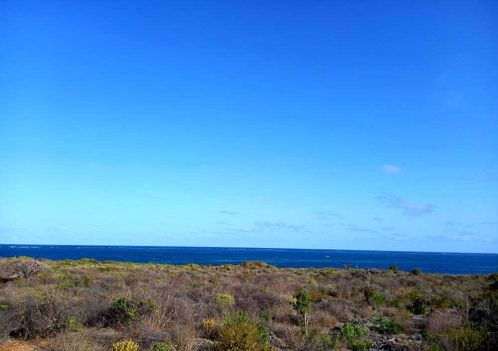 Pet Friendly 50x100 Plot at KSh 1.8M