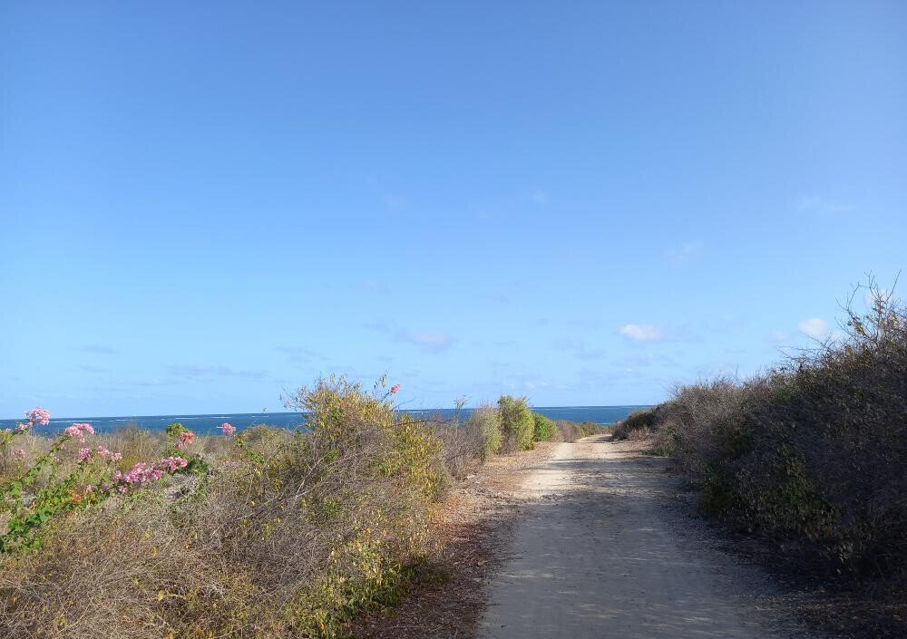 Pet Friendly 50x100 Plot at KSh 1.8M