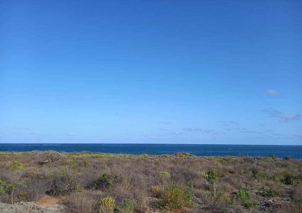 Pet Friendly 50x100 Plot at KSh 1.8M
