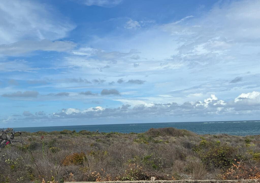 Pet Friendly 50x100 Plot at KSh 1.8M