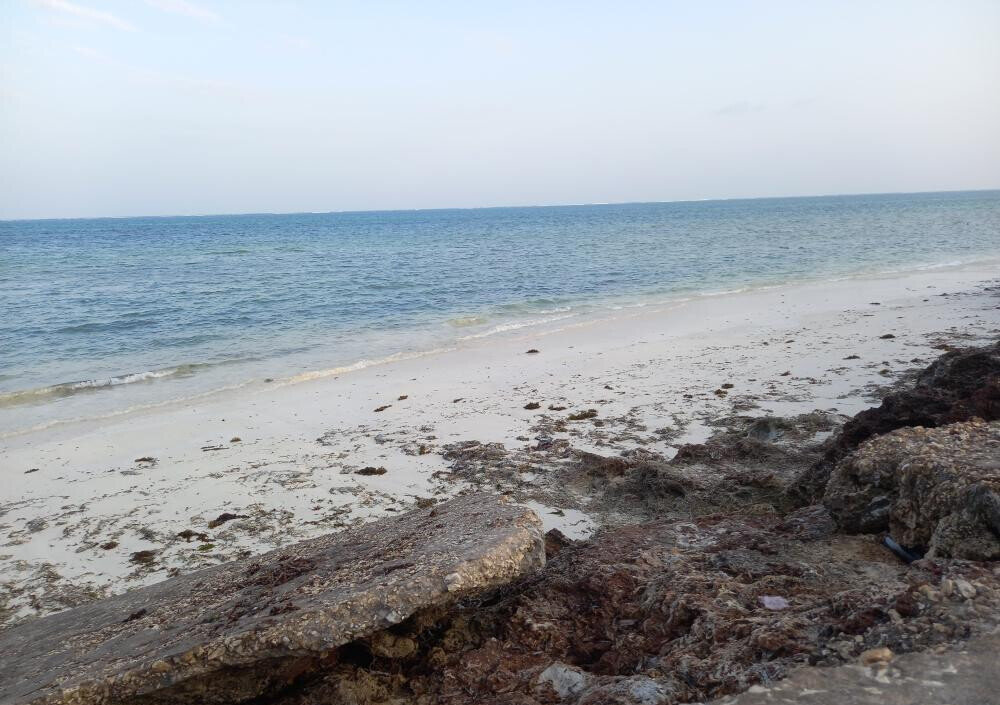 Pet Friendly 50x100 Plot at KSh 1.8M