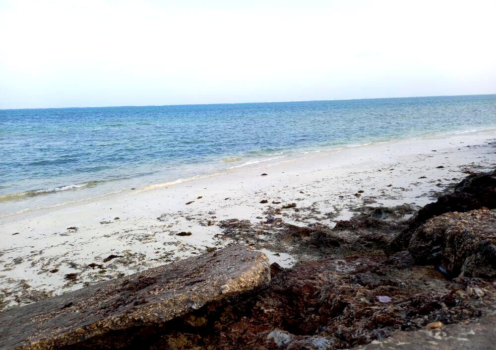 Pet Friendly 50x100 Plot at KSh 1.8M