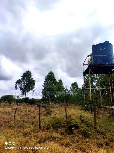 15 Acres Kisaju With Mature Blue Gum Trees. - Image 19