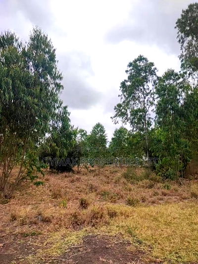 15 Acres Kisaju With Mature Blue Gum Trees. - Image 18