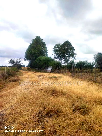 15 Acres Kisaju With Mature Blue Gum Trees. - Image 7
