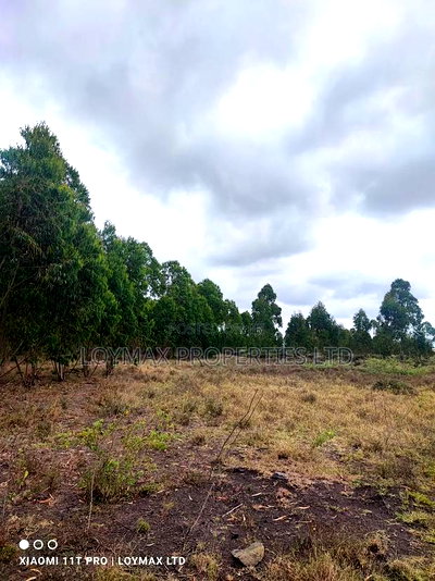 15 Acres Kisaju With Mature Blue Gum Trees. - Image 13