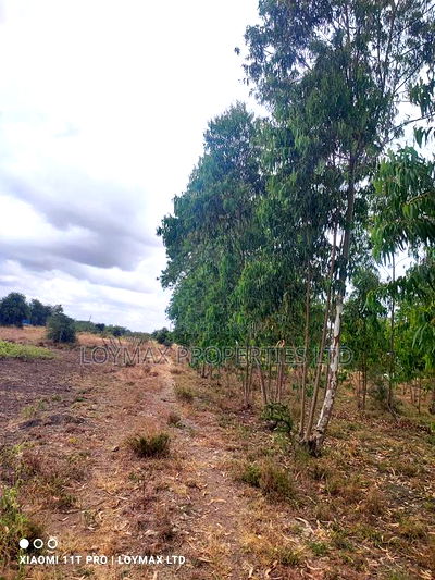 15 Acres Kisaju With Mature Blue Gum Trees. - Image 11