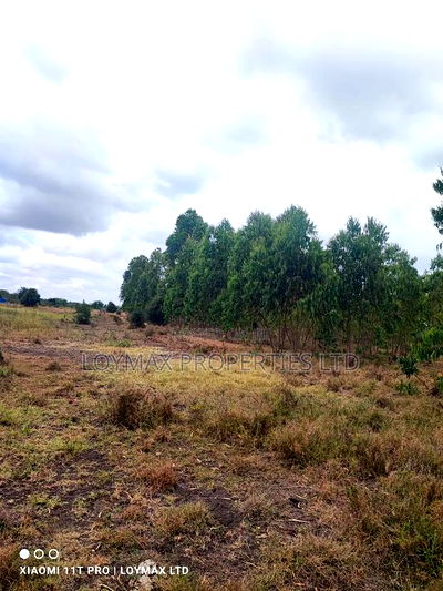 15 Acres Kisaju With Mature Blue Gum Trees. - Image 17