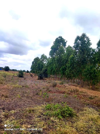 15 Acres Kisaju With Mature Blue Gum Trees. - Image 16