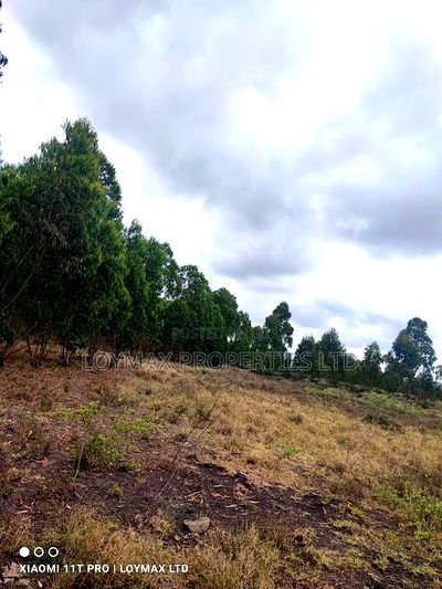 15 Acres Kisaju With Mature Blue Gum Trees. - Image 14