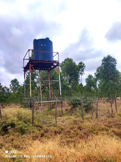 15 Acres Kisaju With Mature Blue Gum Trees. - Image 3