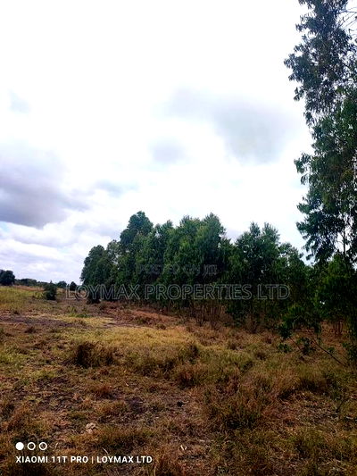 15 Acres Kisaju With Mature Blue Gum Trees. - Image 15