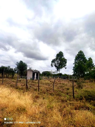 15 Acres Kisaju With Mature Blue Gum Trees. - Image 20