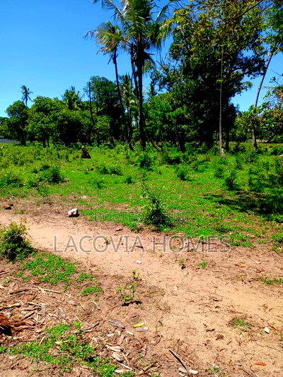 100x100 Plot for Sale(30 Units) - Image 2