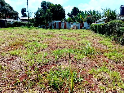Quarter Acre Commercial Plot Ruaka - Image 4