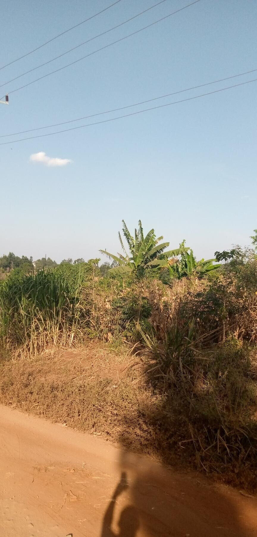 1/2 Acre Garden Plot with Parking