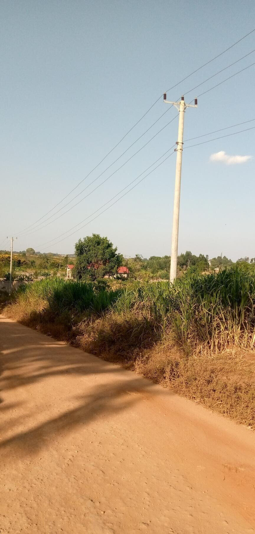 1/2 Acre Garden Plot with Parking