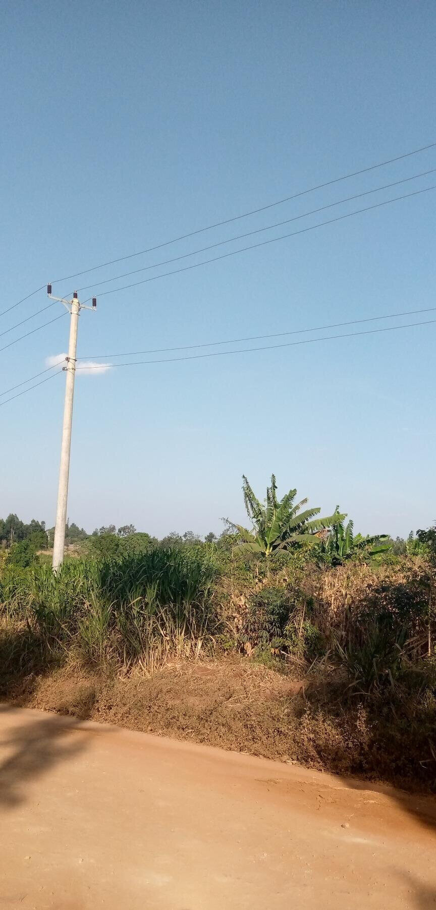 1/2 Acre Garden Plot with Parking