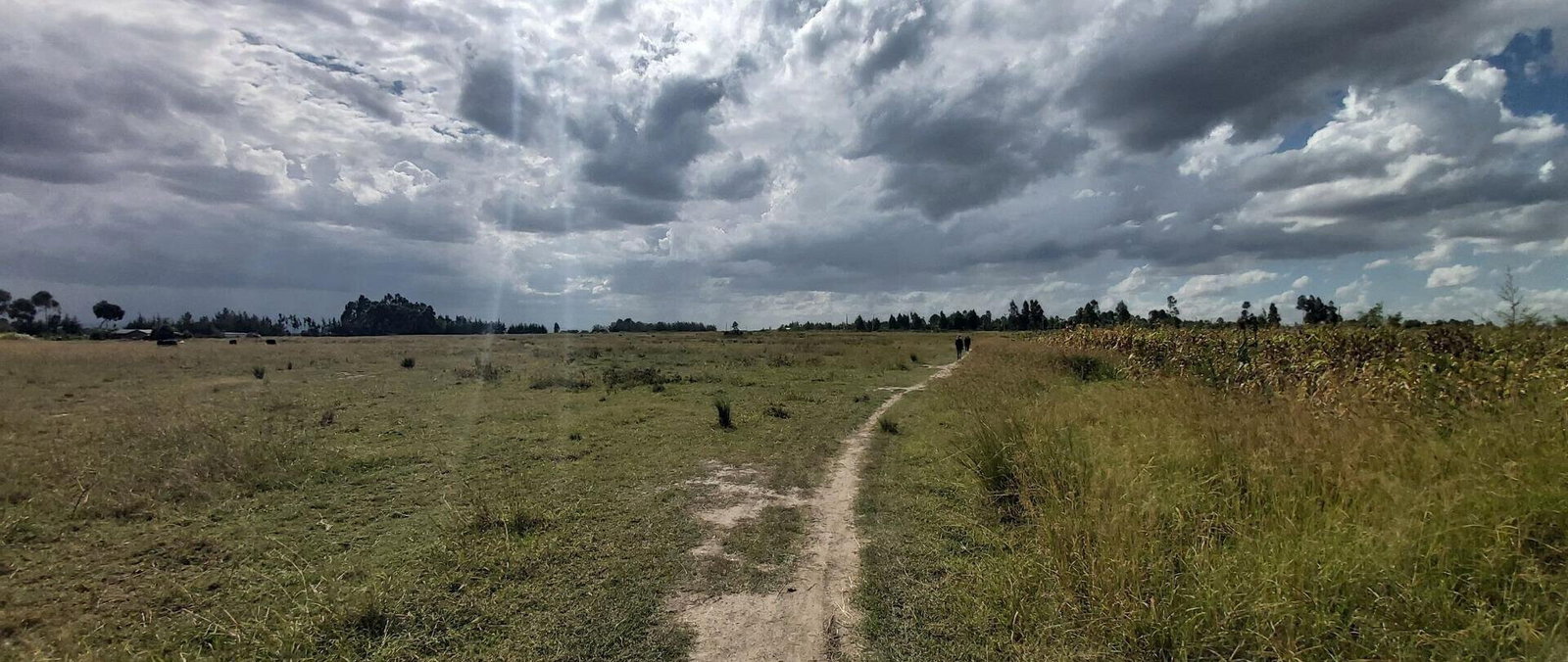 10-Acre Garden Land with Parking - Laikipia