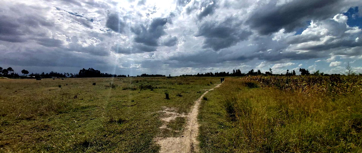 10-Acre Garden Land with Parking - Laikipia