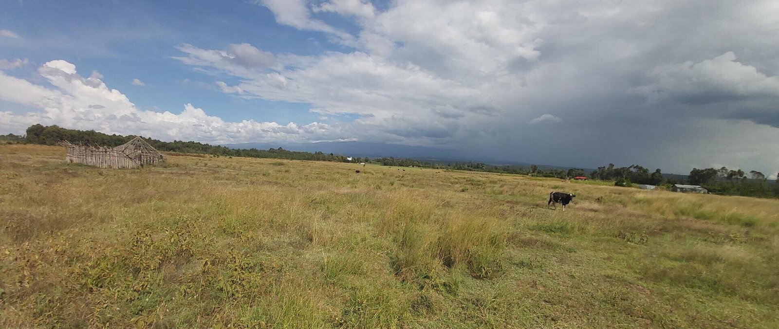 10-Acre Garden Land with Parking - Laikipia