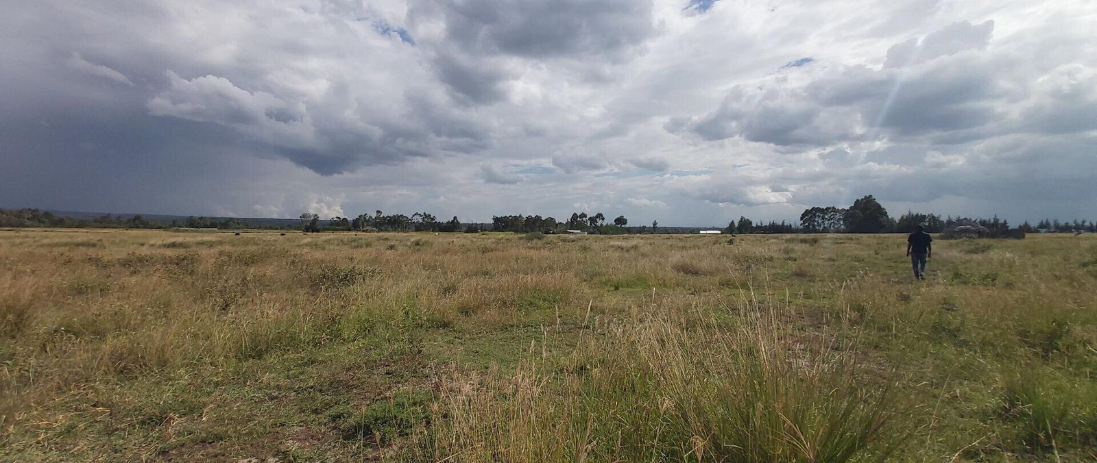 10-Acre Garden Land with Parking - Laikipia