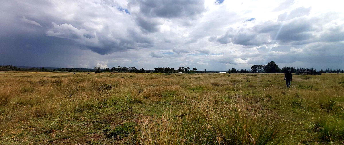 10-Acre Garden Land with Parking - Laikipia