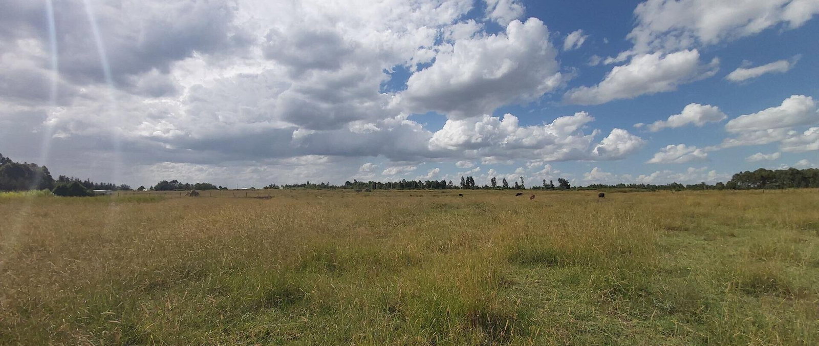 10-Acre Garden Land with Parking - Laikipia