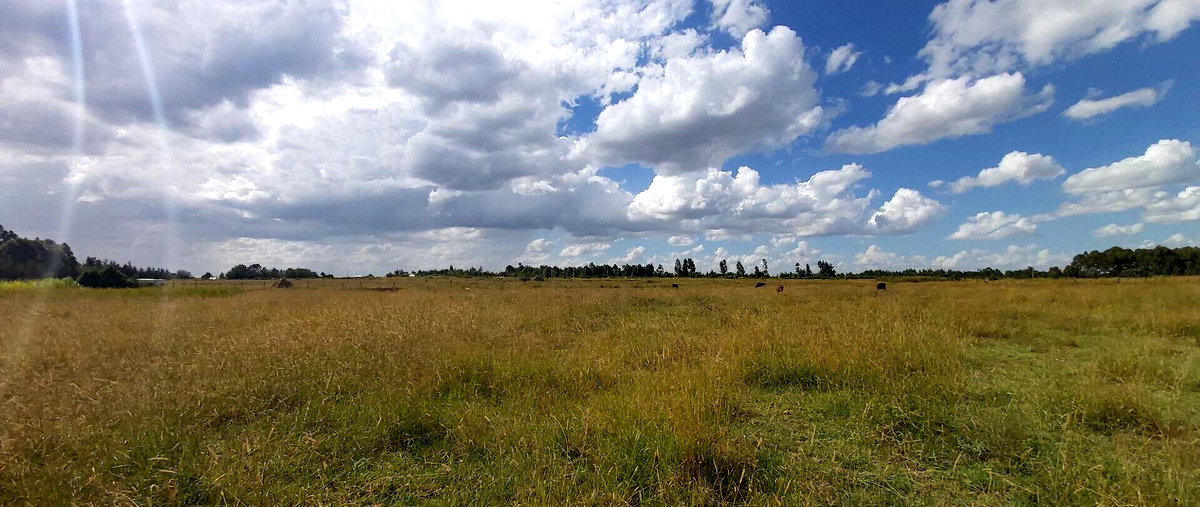 10-Acre Garden Land with Parking - Laikipia