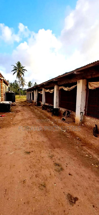 For Sale 3 Acres Poultry Farm Kikambala - Image 3