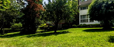 0.8 Acre Riverside Gem for KSh 350M