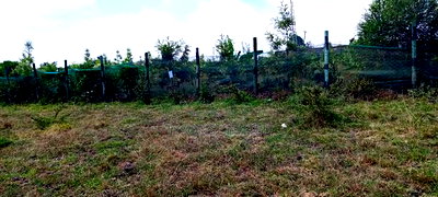 1/8 Acre Plots for Sale in Tuala, Kedienye Area - Image 4