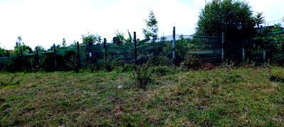 1/8 Acre Plots for Sale in Tuala, Kedienye Area - Image 5